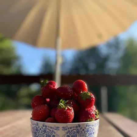 Dom Letniskowy Amalka, Sauna, Basen, Balia Дом отдыха Podiazy